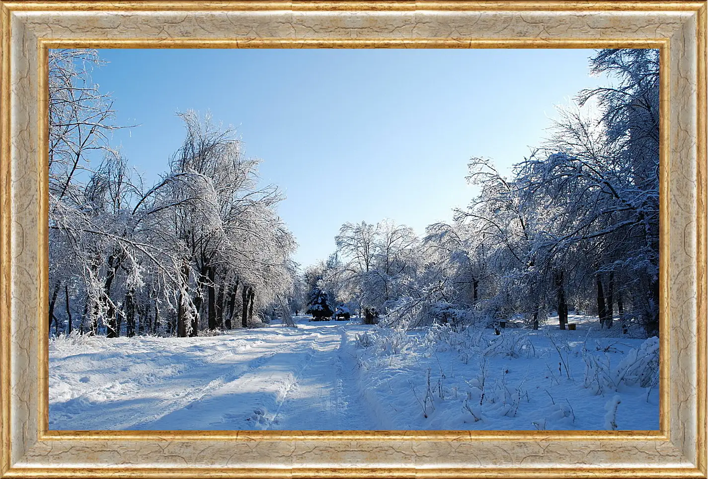 Картина в раме - Зима