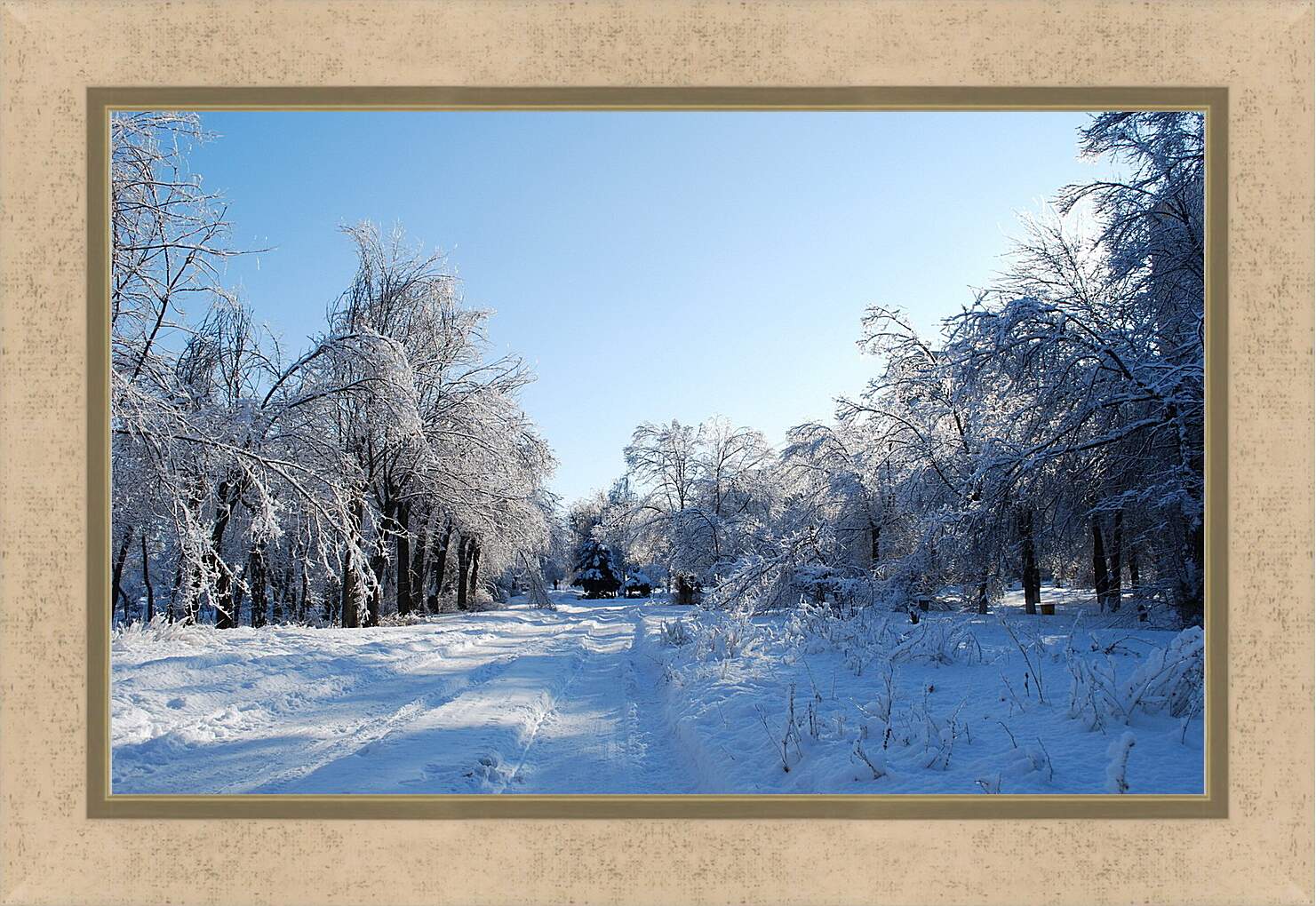 Картина в раме - Зима