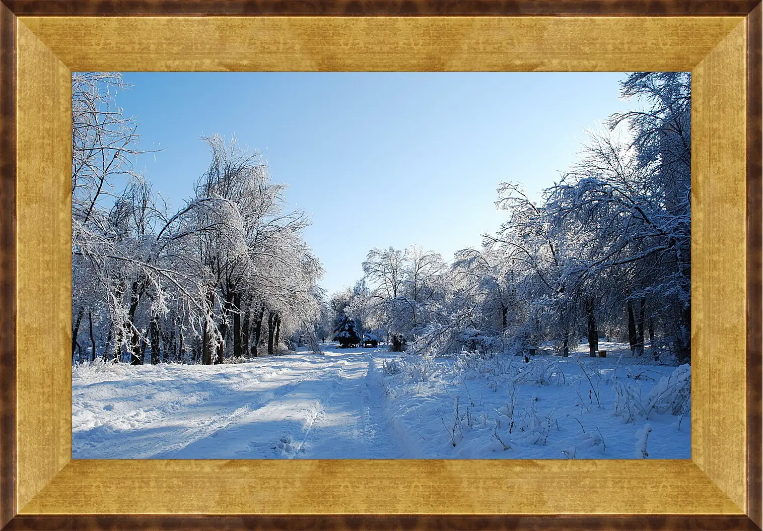 Картина в раме - Зима