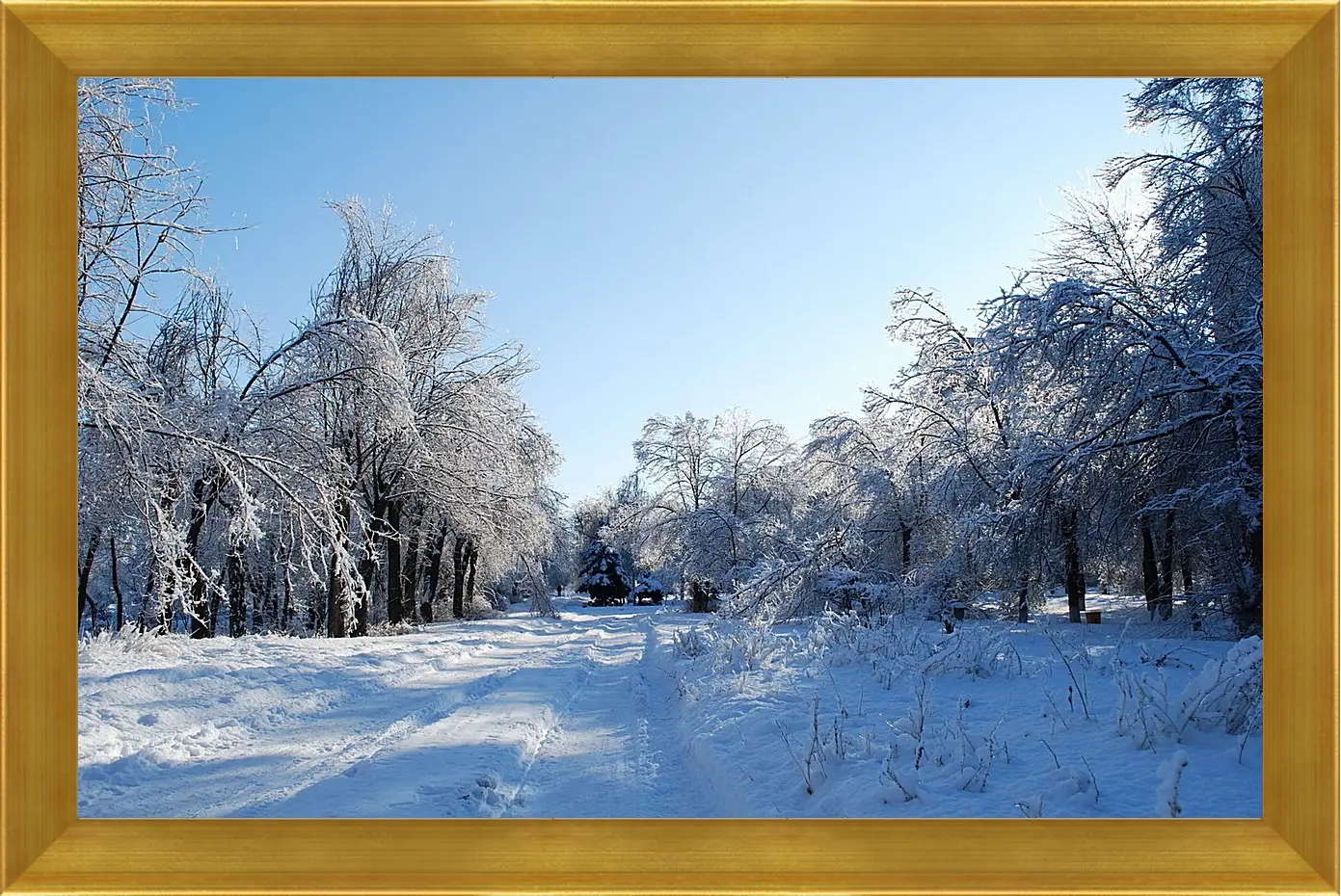 Картина в раме - Зима