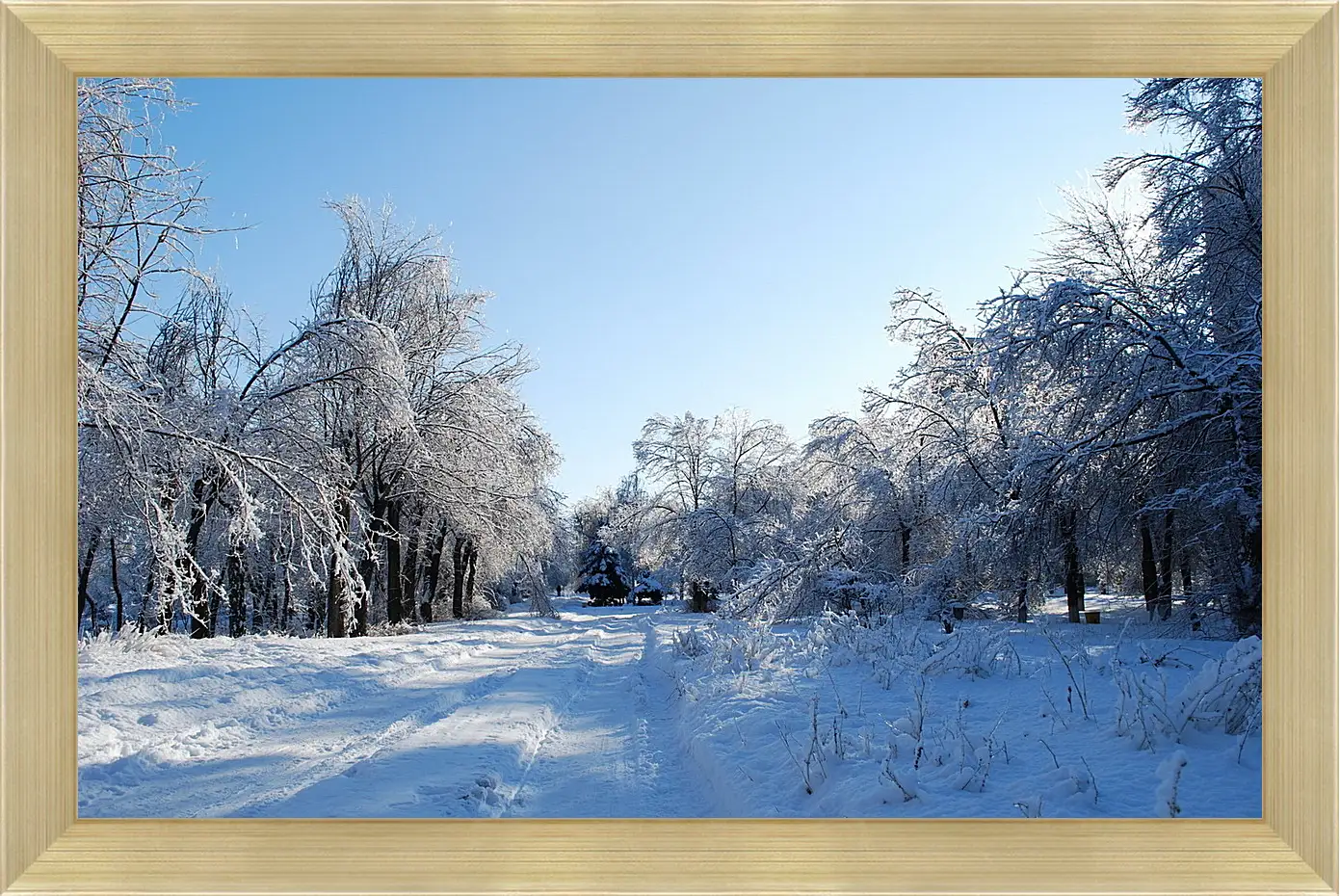 Картина в раме - Зима