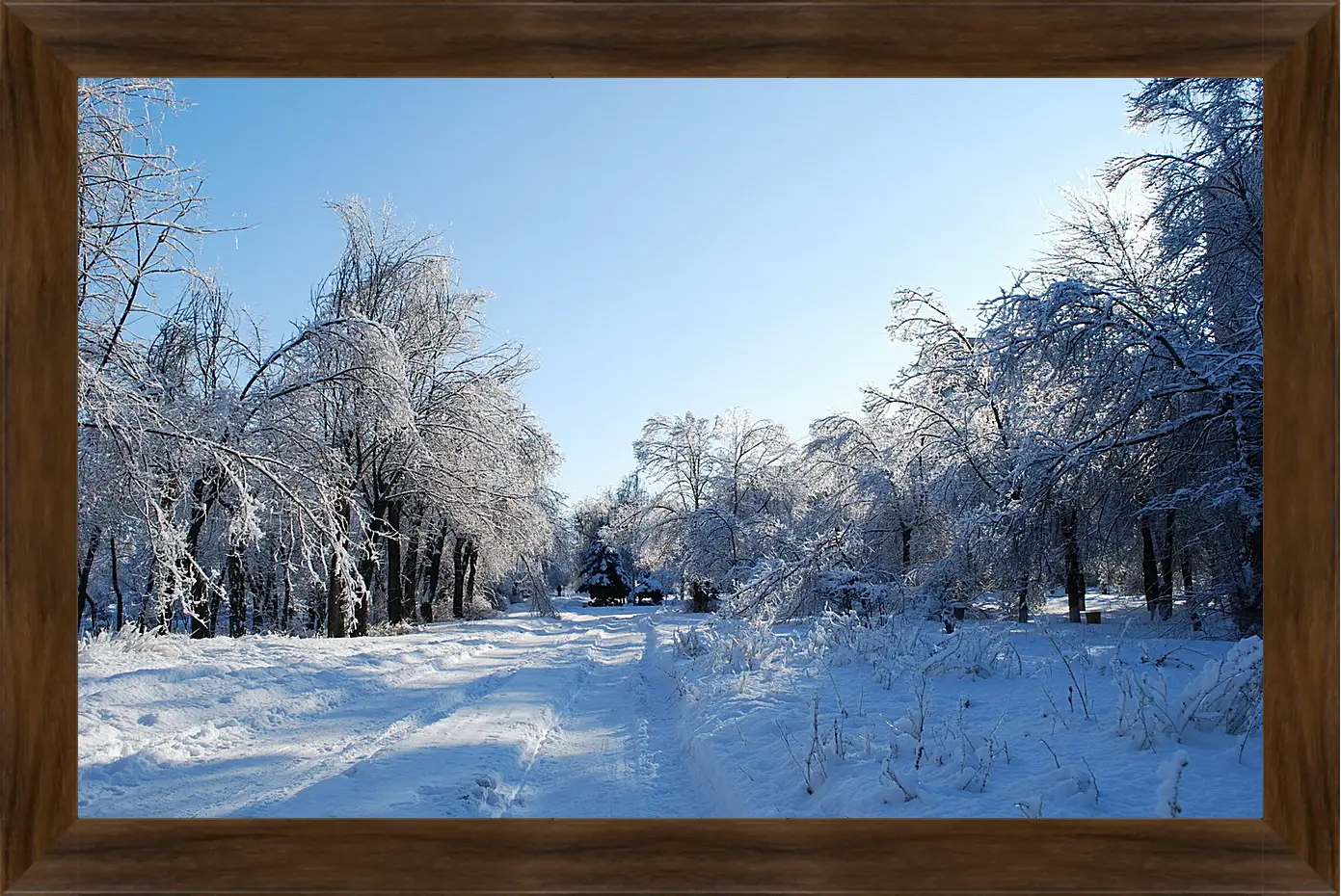 Картина в раме - Зима