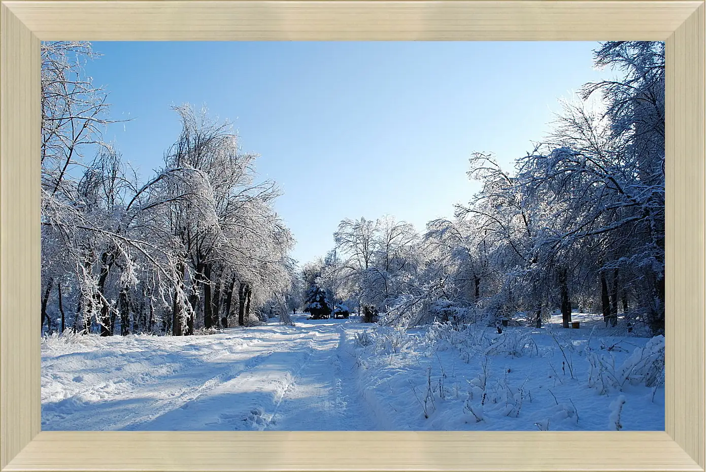 Картина в раме - Зима