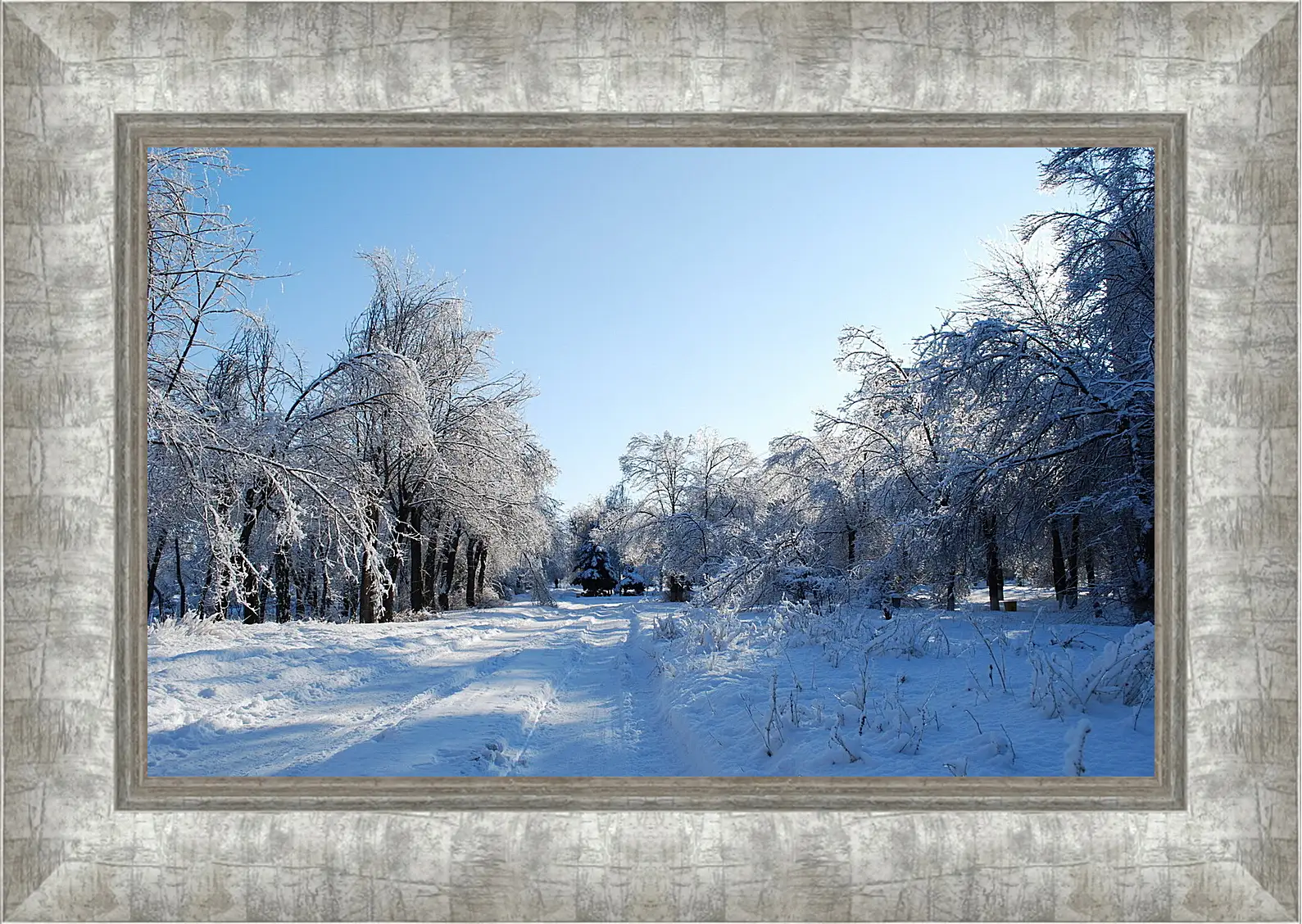 Картина в раме - Зима