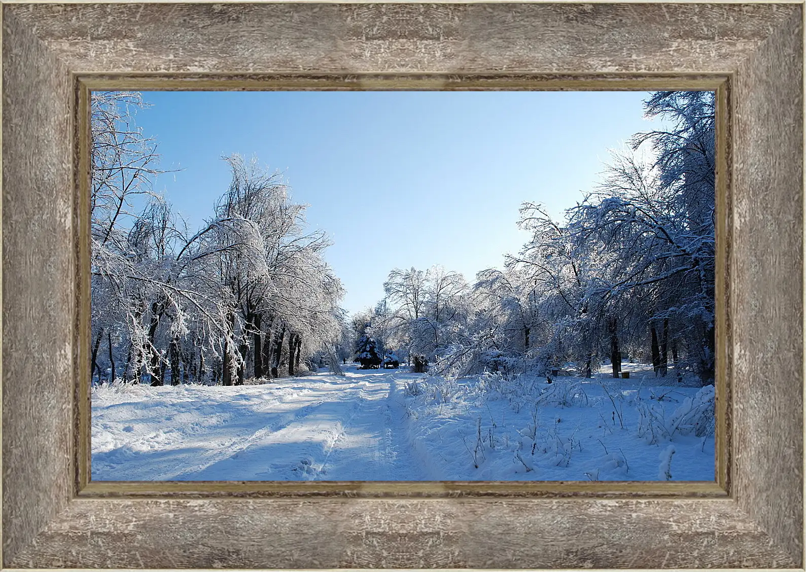 Картина в раме - Зима