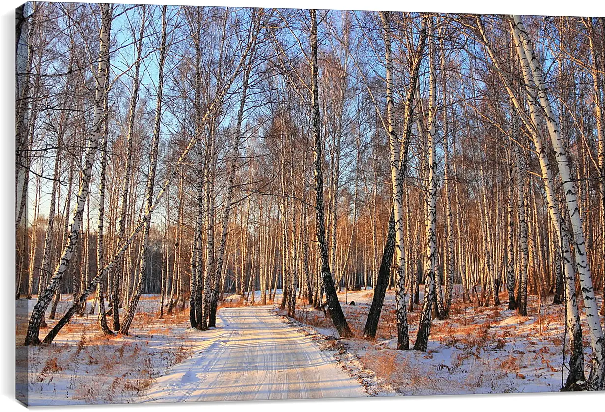 Постер и плакат - Зима