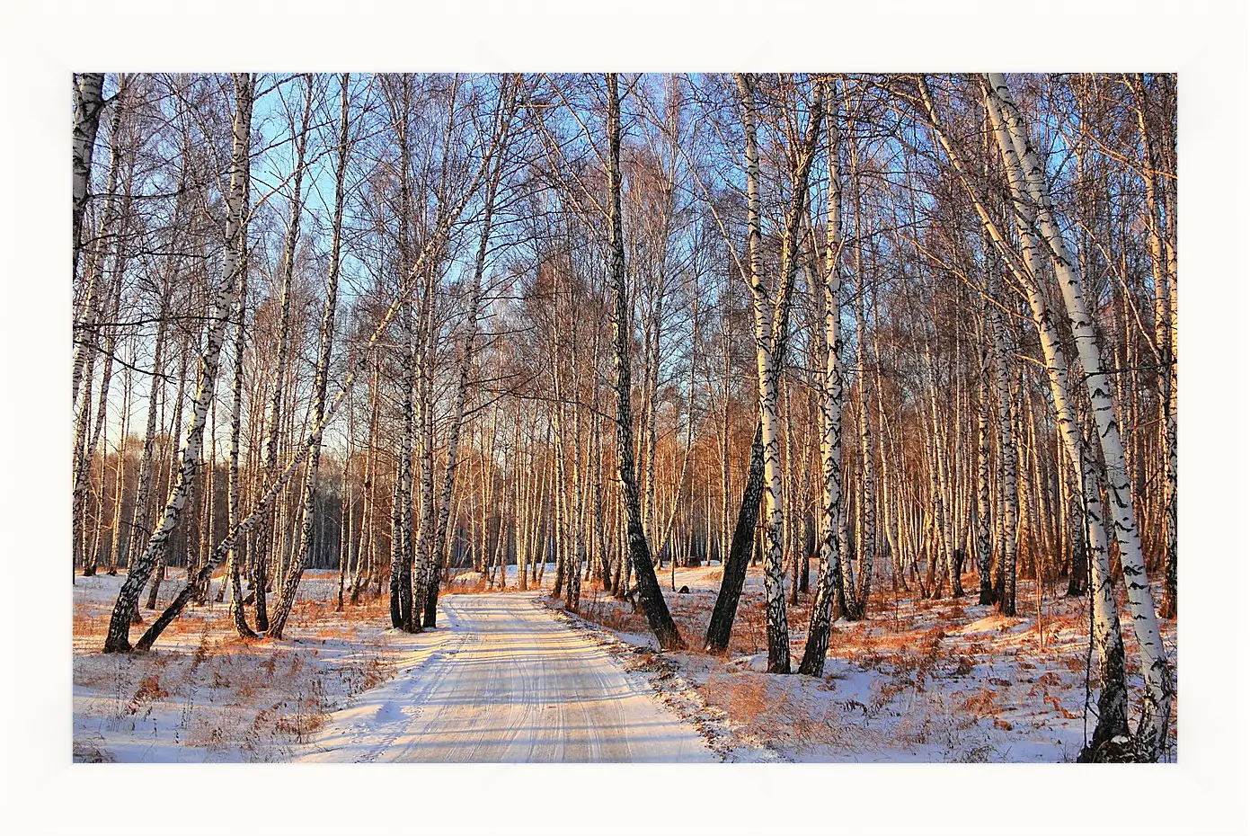 Картина в раме - Зима