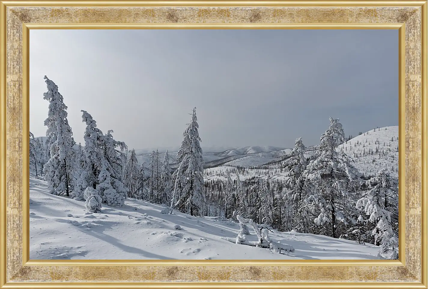 Картина в раме - Зима