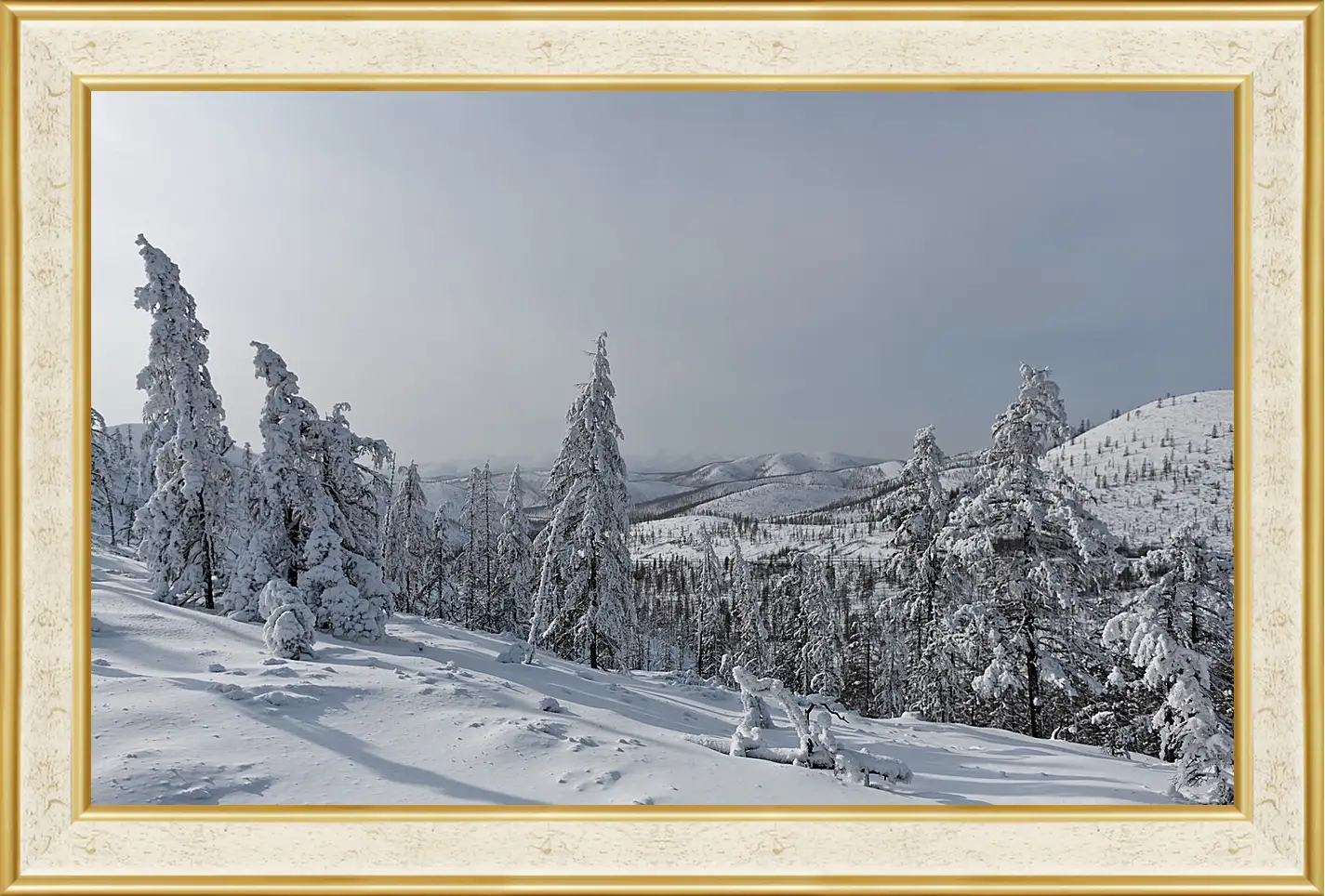 Картина в раме - Зима