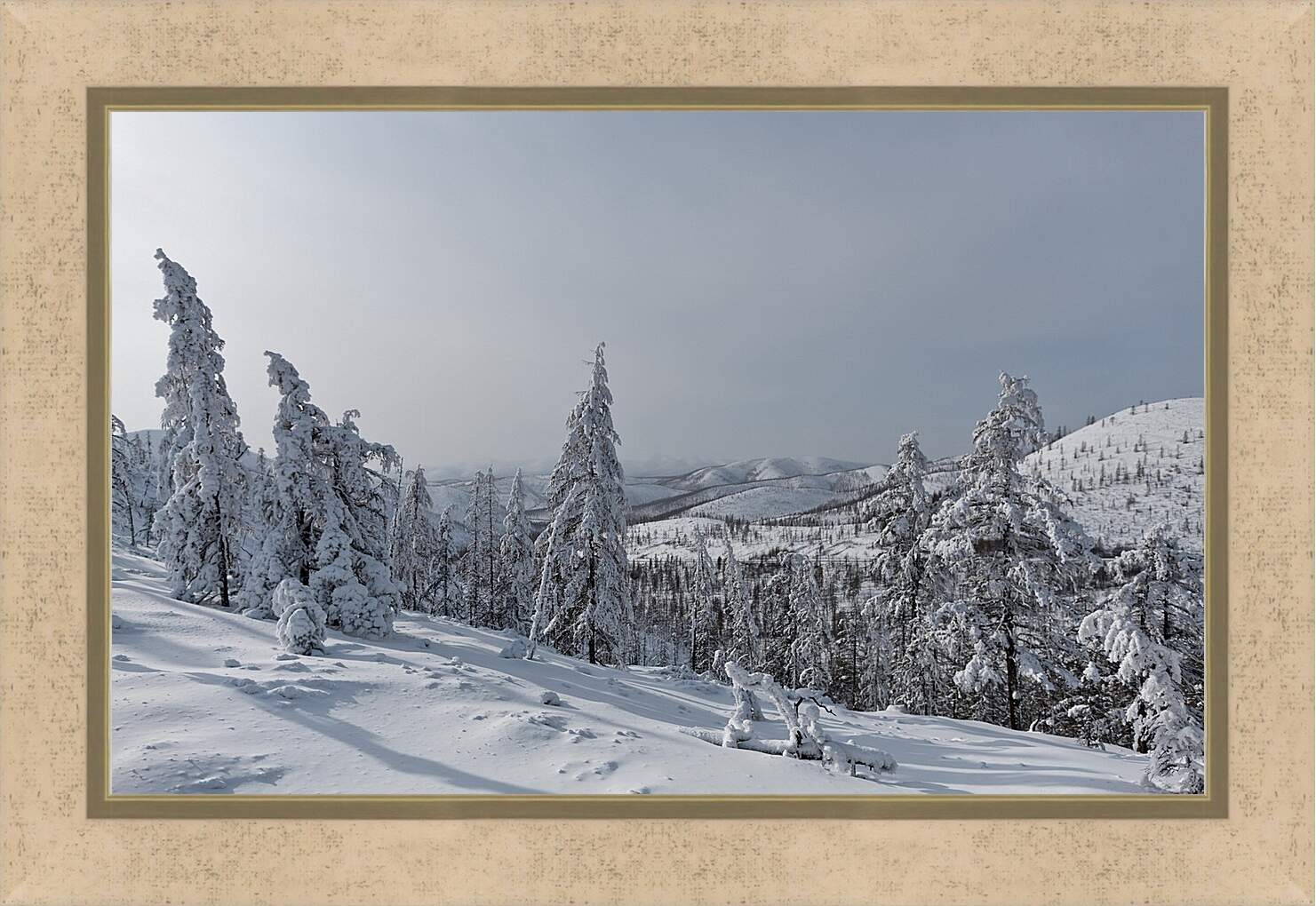 Картина в раме - Зима