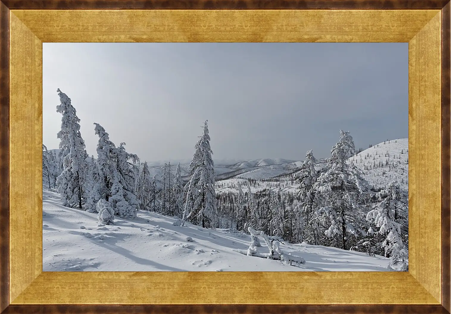 Картина в раме - Зима