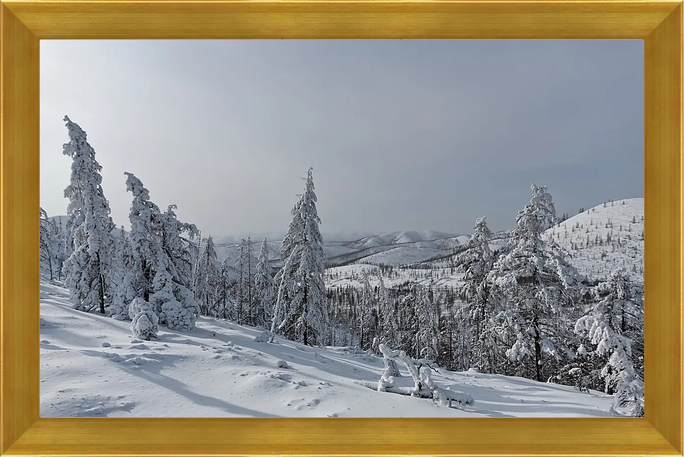 Картина в раме - Зима