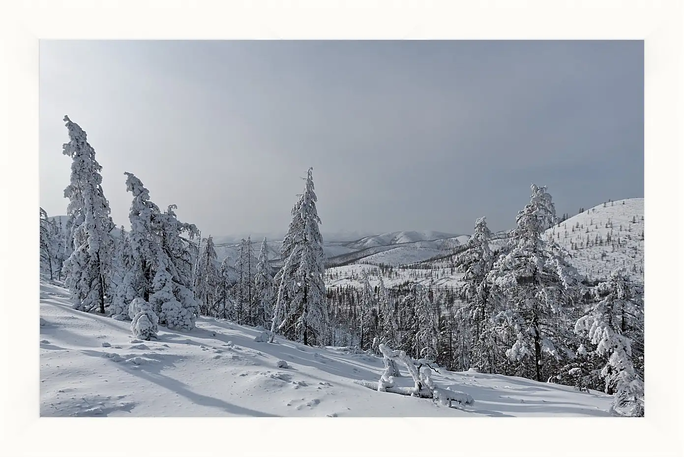 Картина в раме - Зима