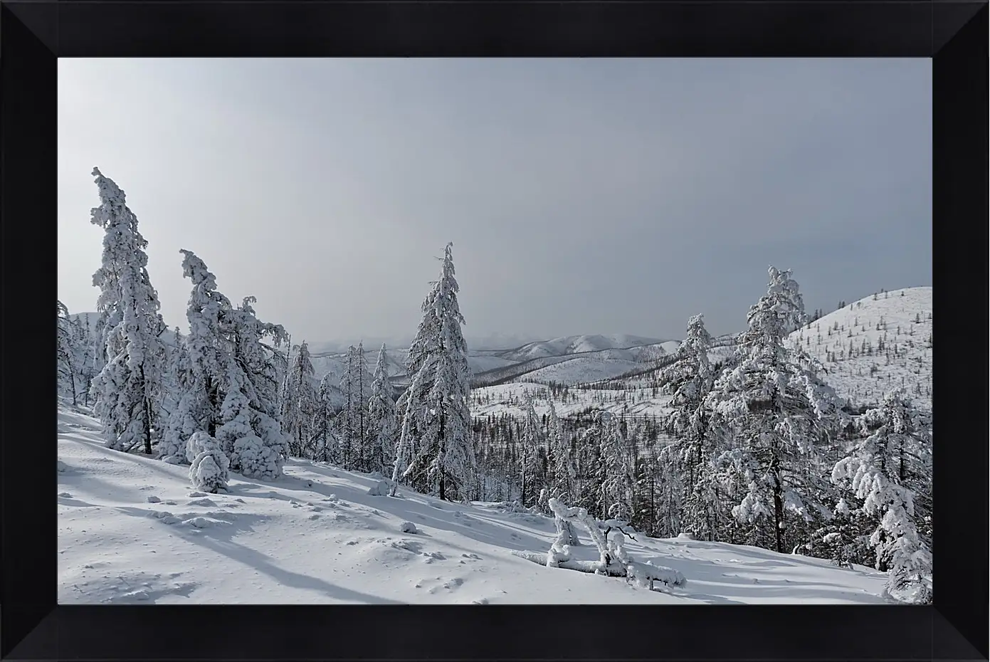 Картина в раме - Зима