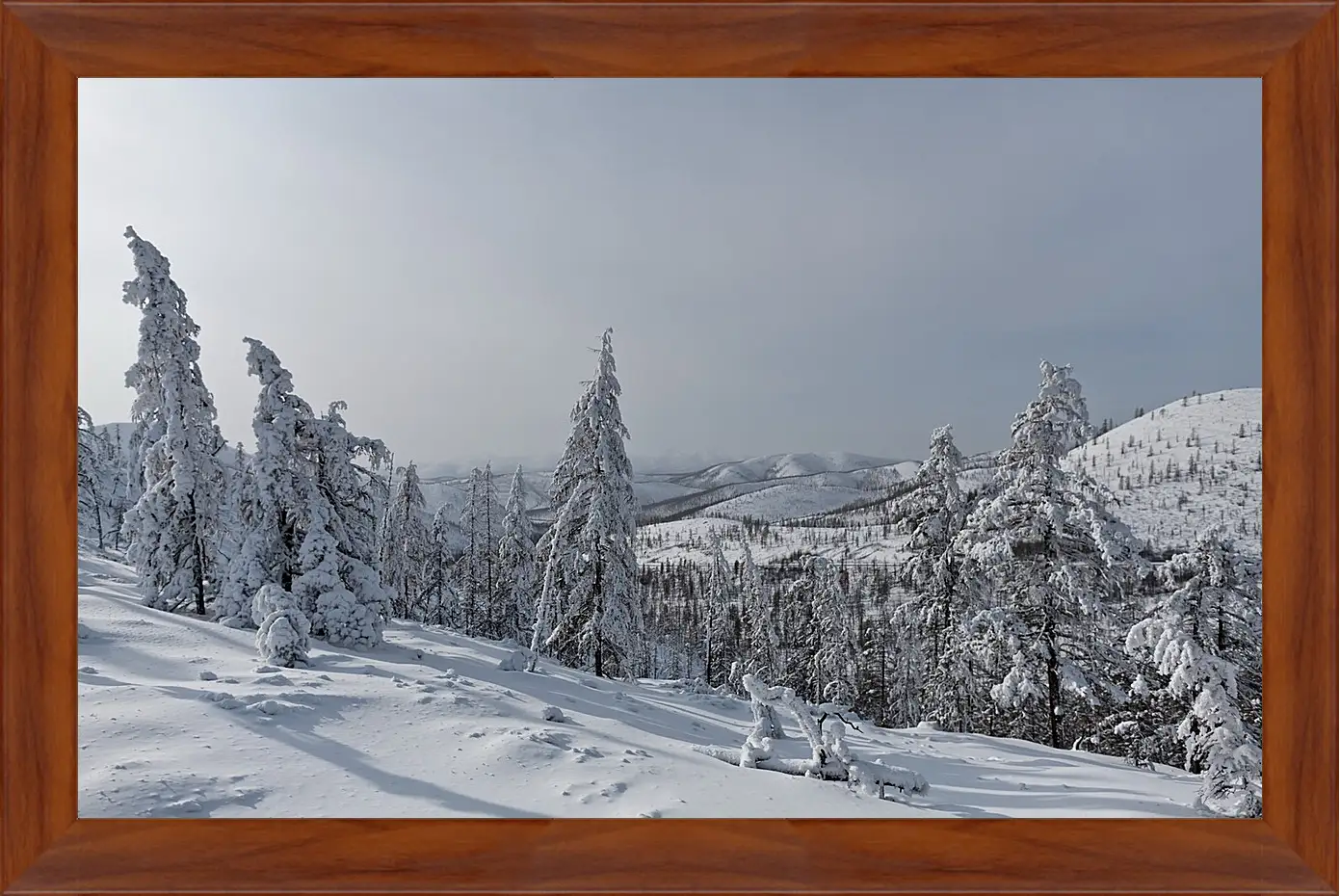 Картина в раме - Зима