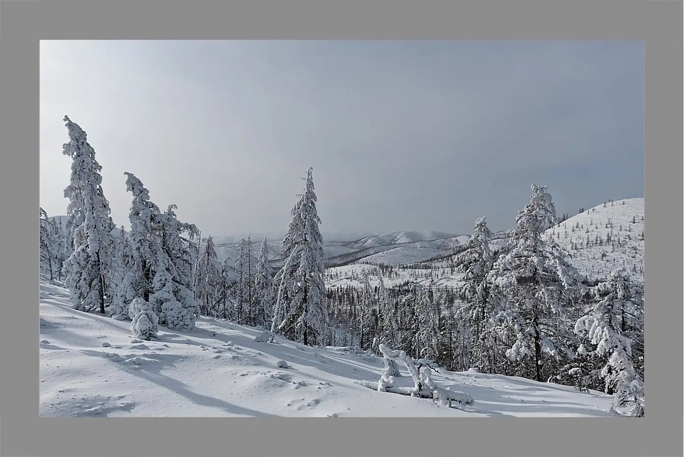 Картина в раме - Зима