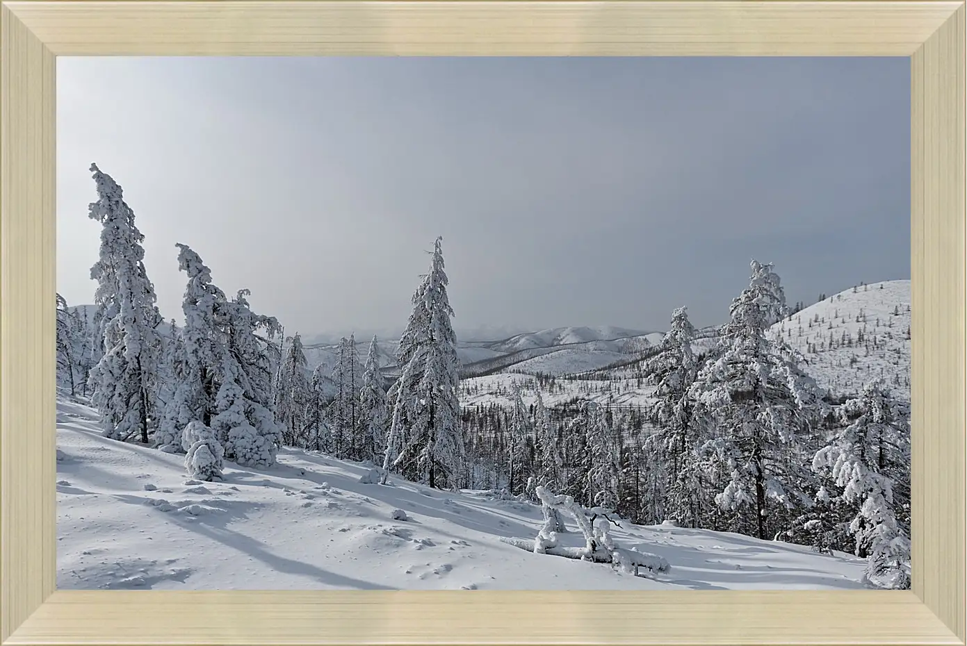 Картина в раме - Зима