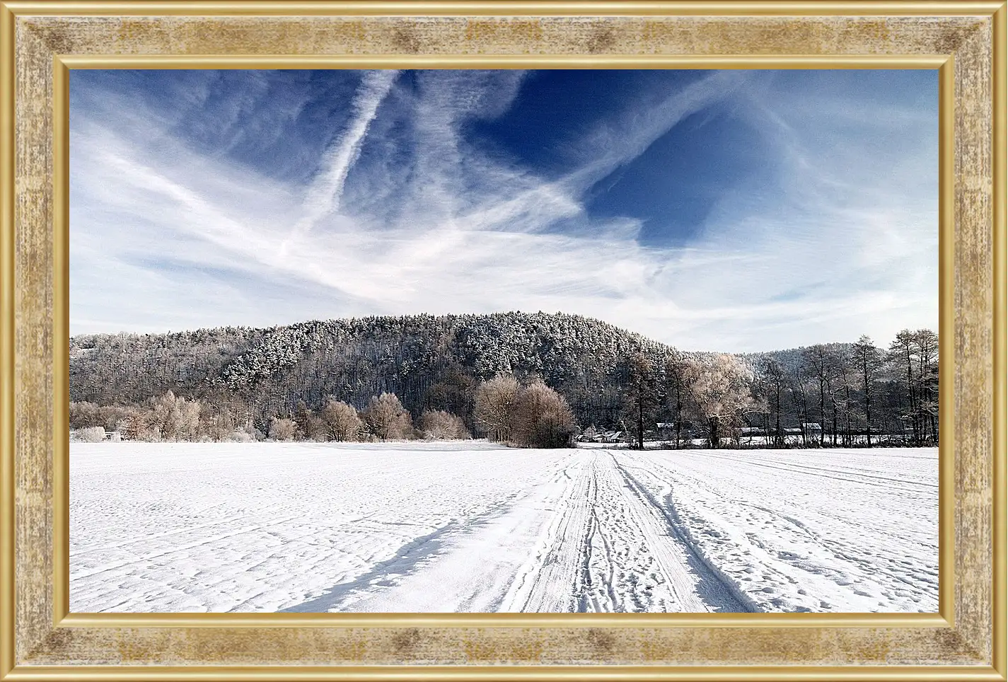 Картина в раме - Зима