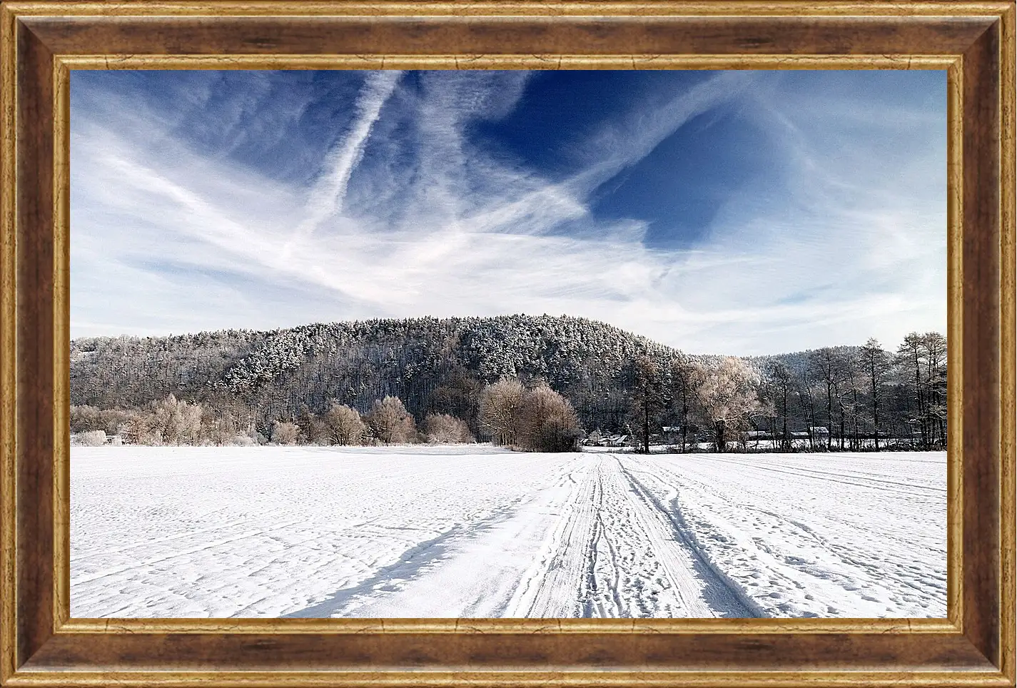 Картина в раме - Зима