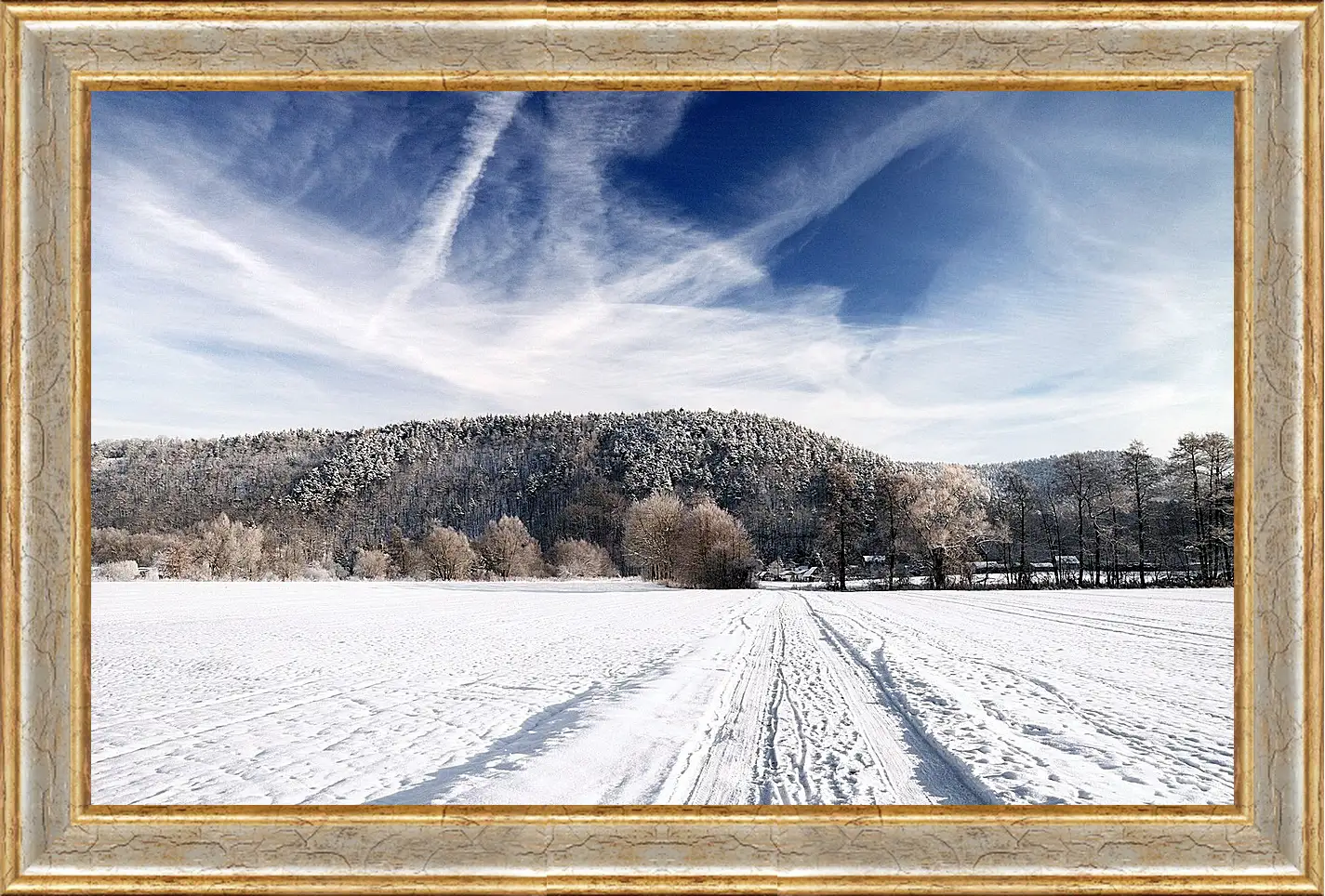 Картина в раме - Зима