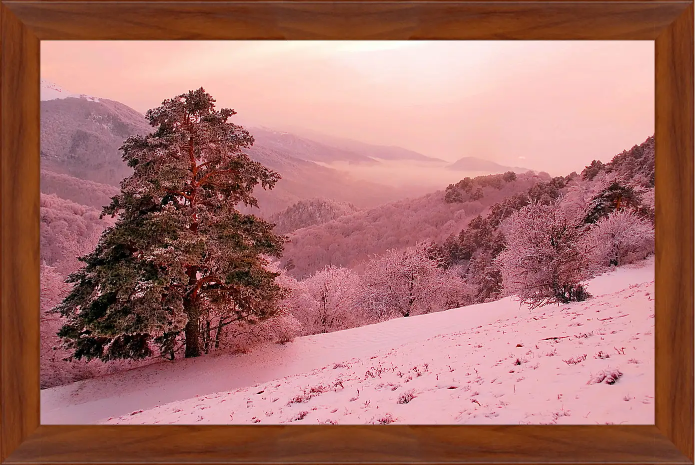 Картина в раме - Зима