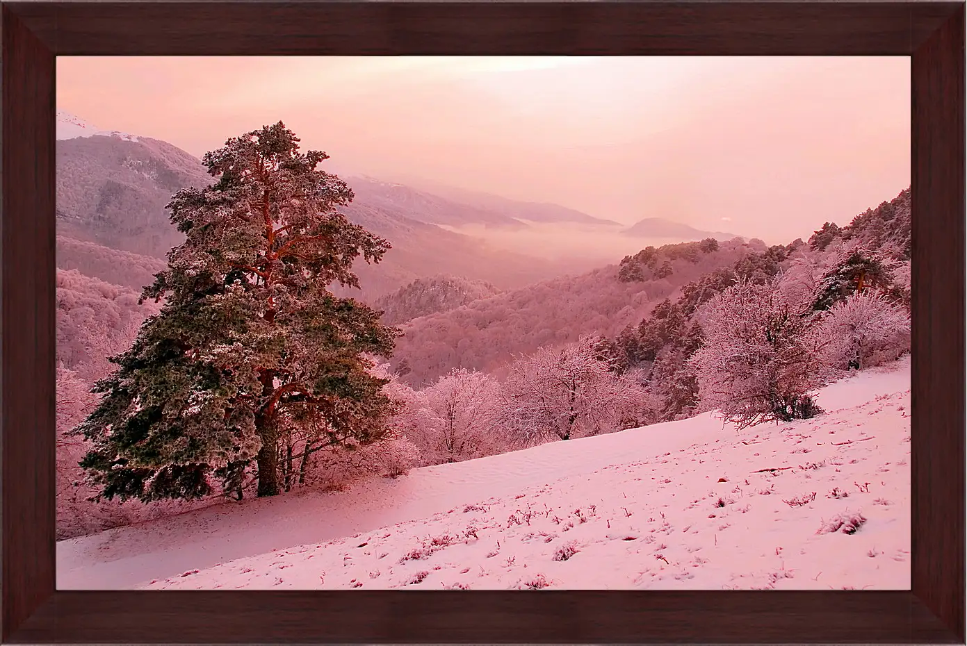 Картина в раме - Зима