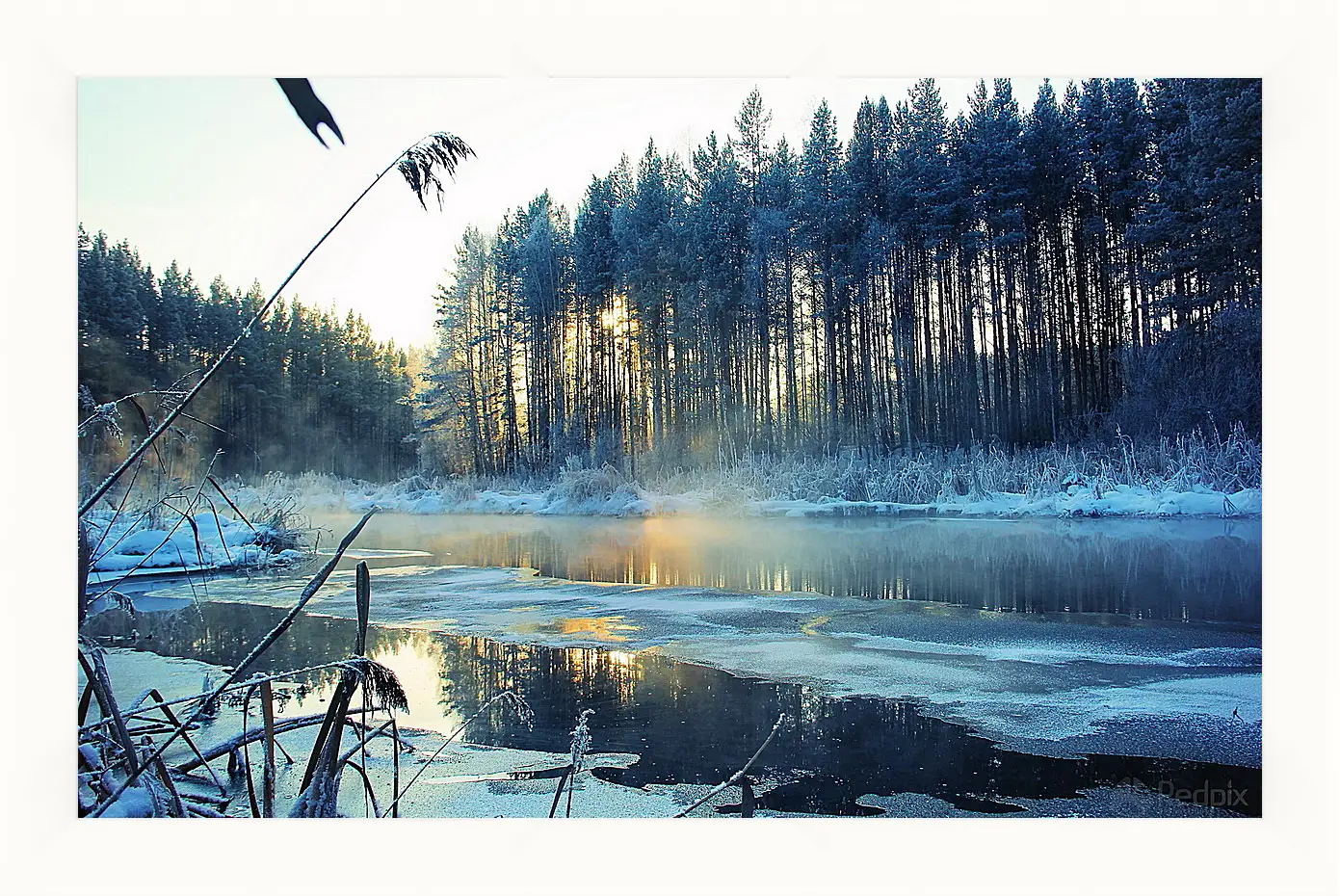 Картина в раме - Зима