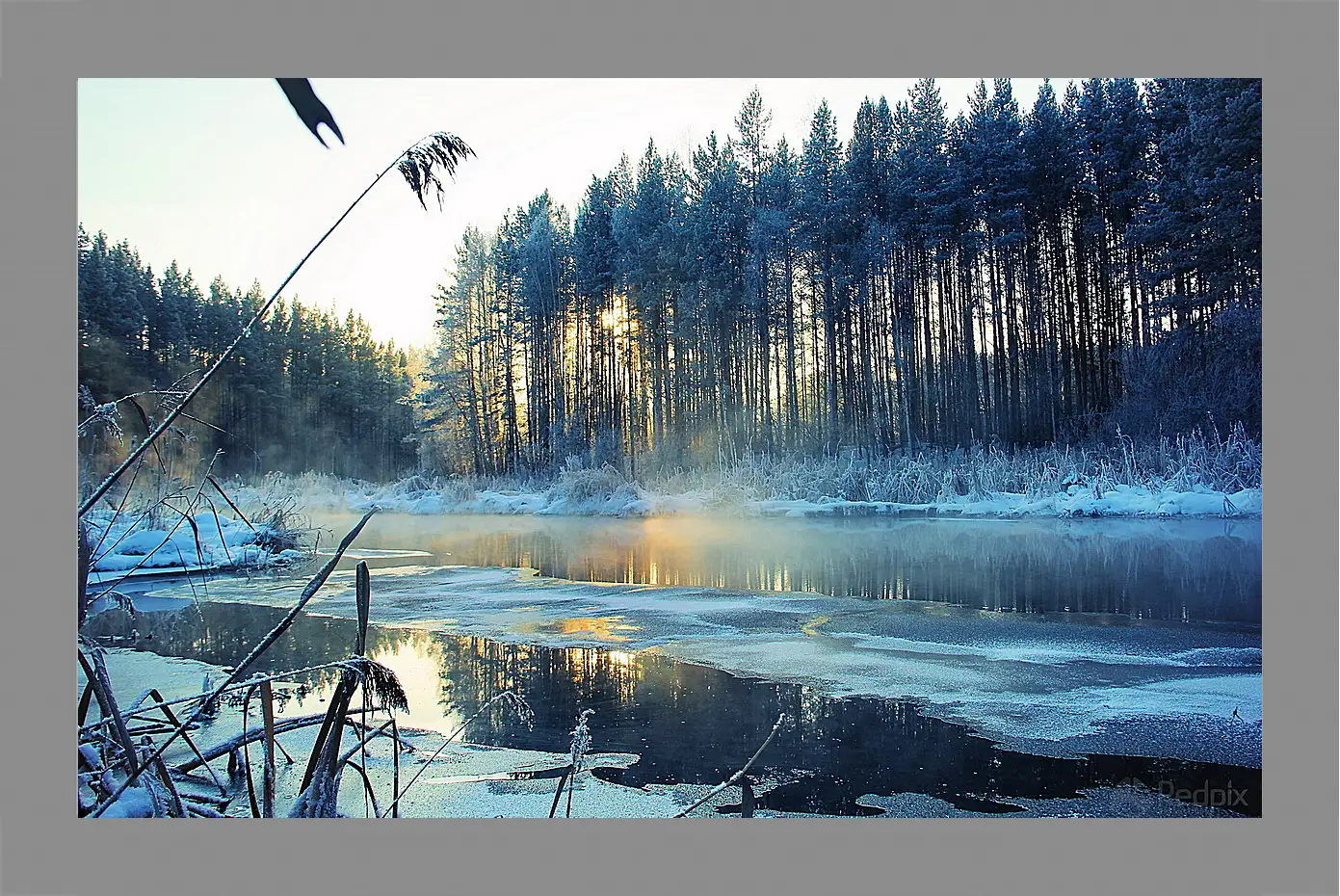 Картина в раме - Зима