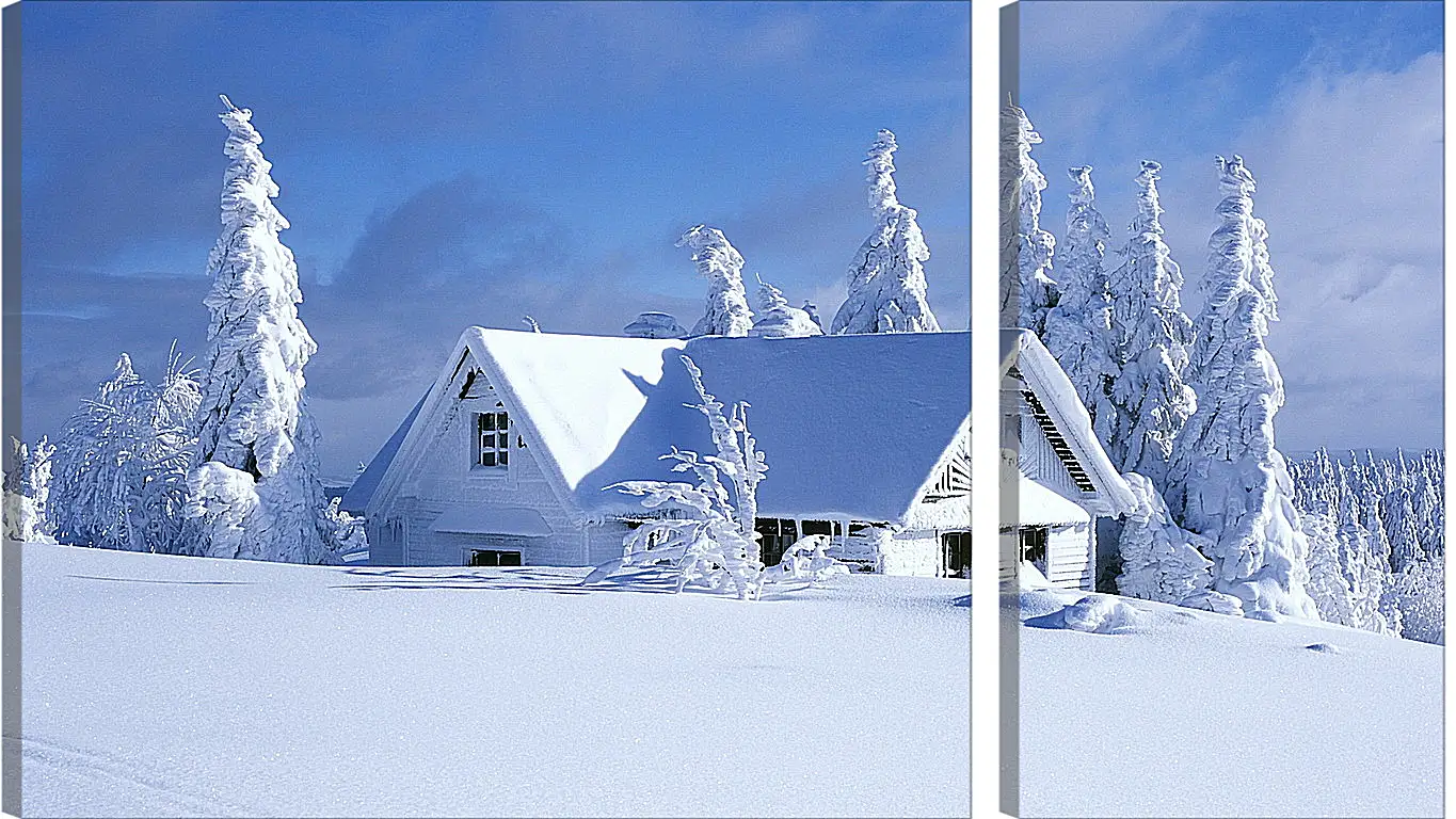 Модульная картина - Зима