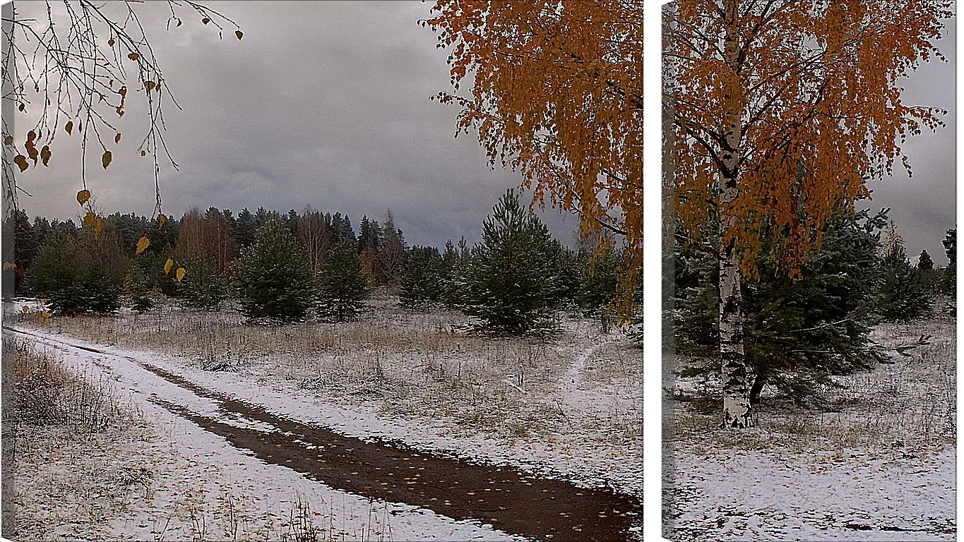 Модульная картина - Зима