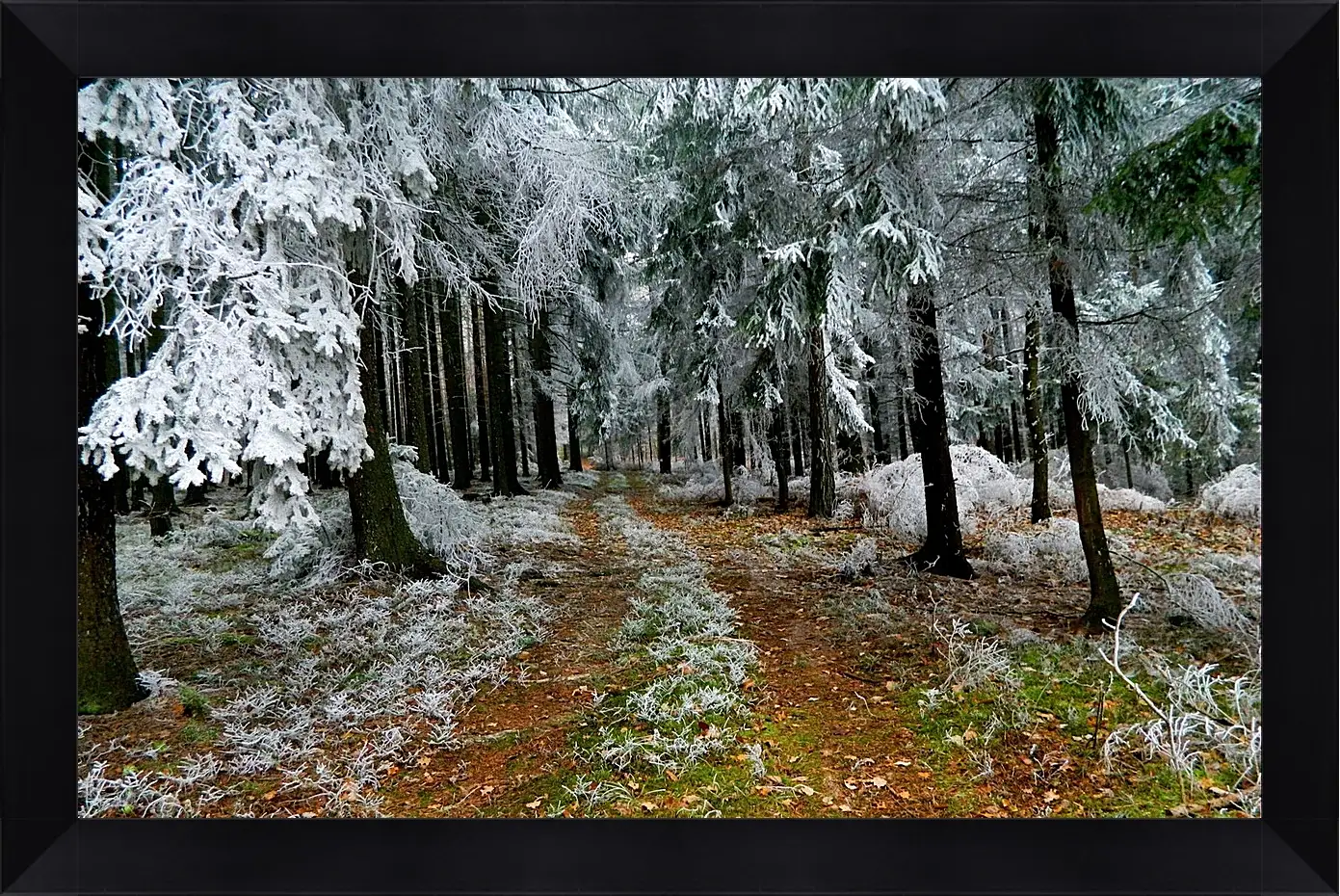 Картина в раме - Зима