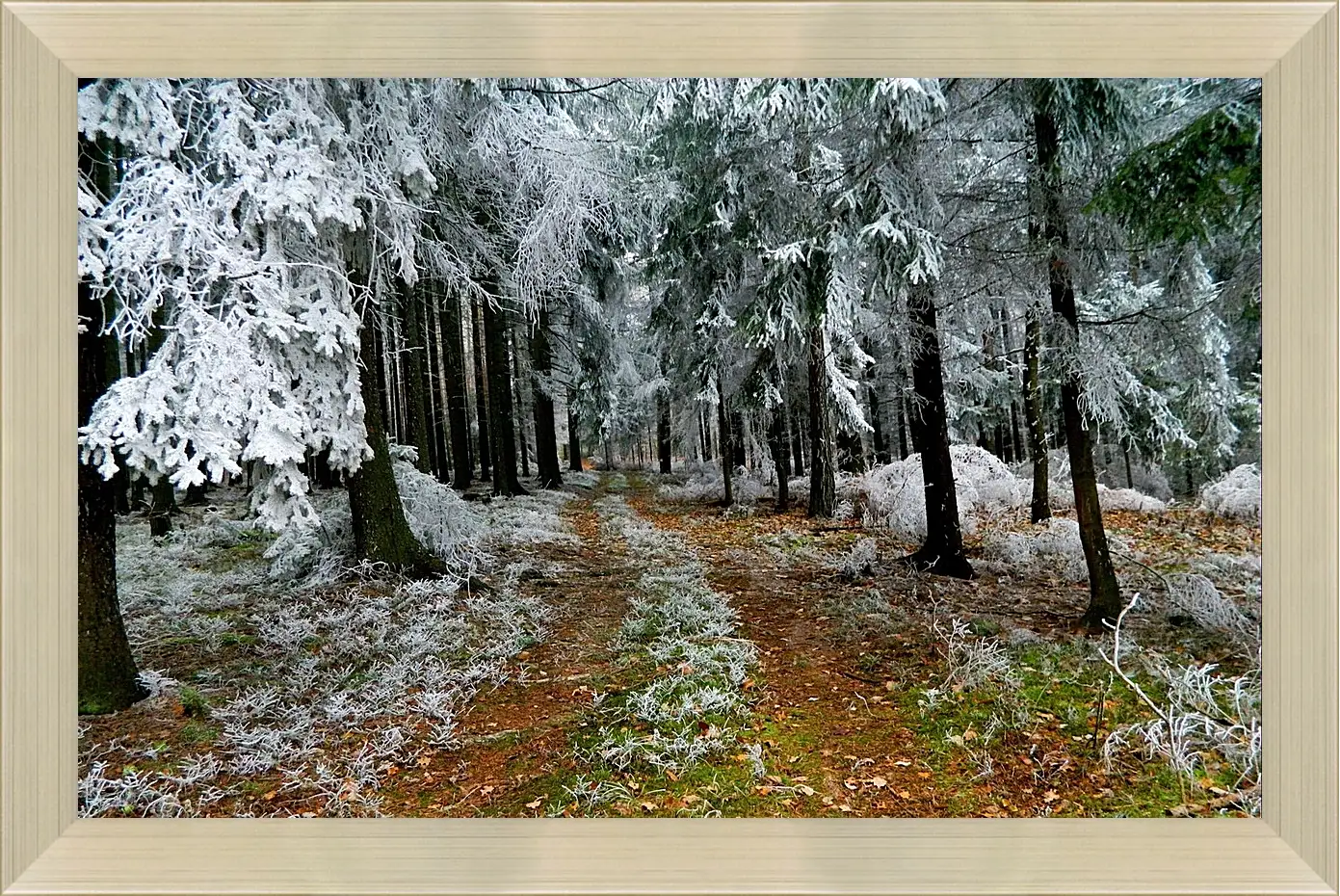 Картина в раме - Зима