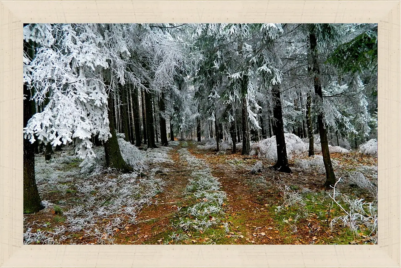 Картина в раме - Зима