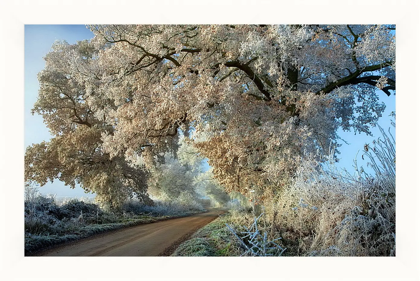 Картина в раме - Зима