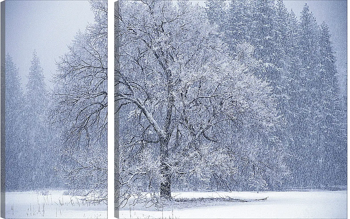 Модульная картина - Зима