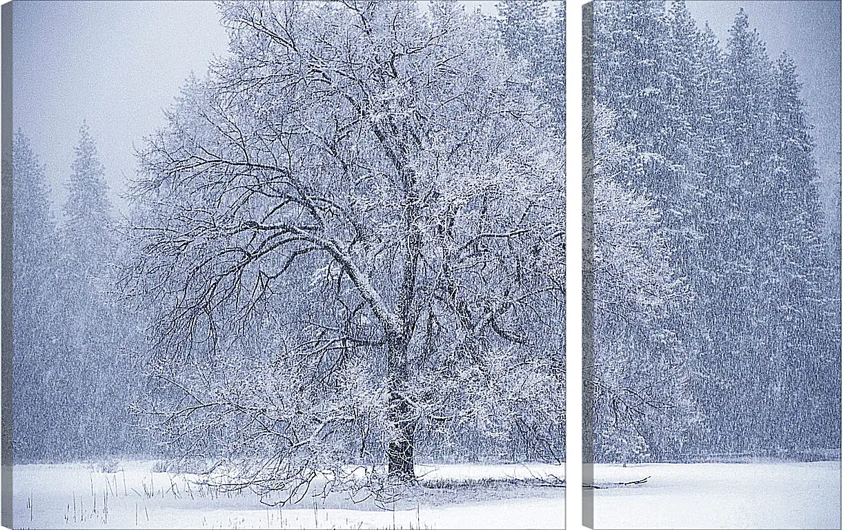 Модульная картина - Зима