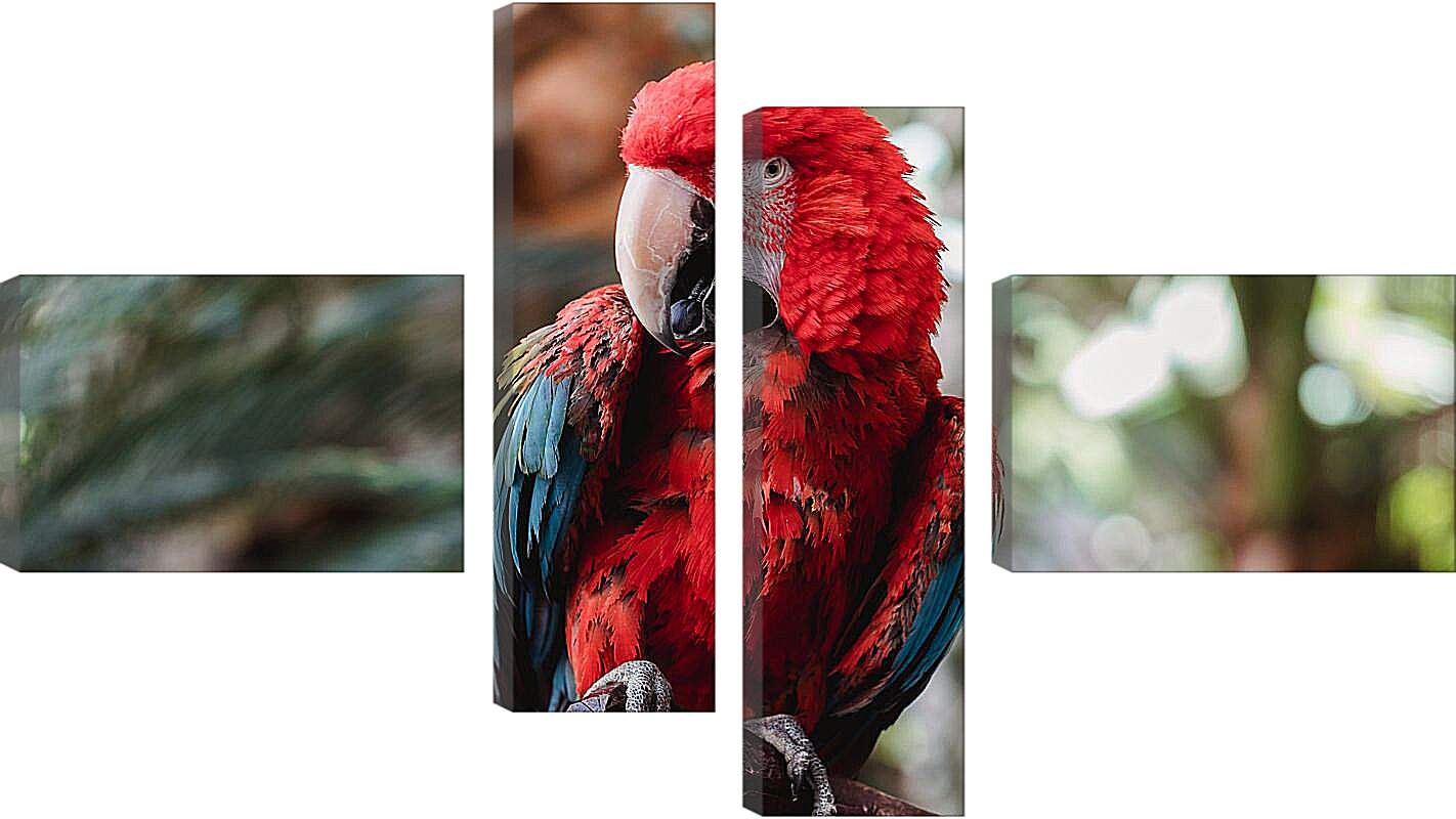 Модульная картина - Попугай тропический Ара