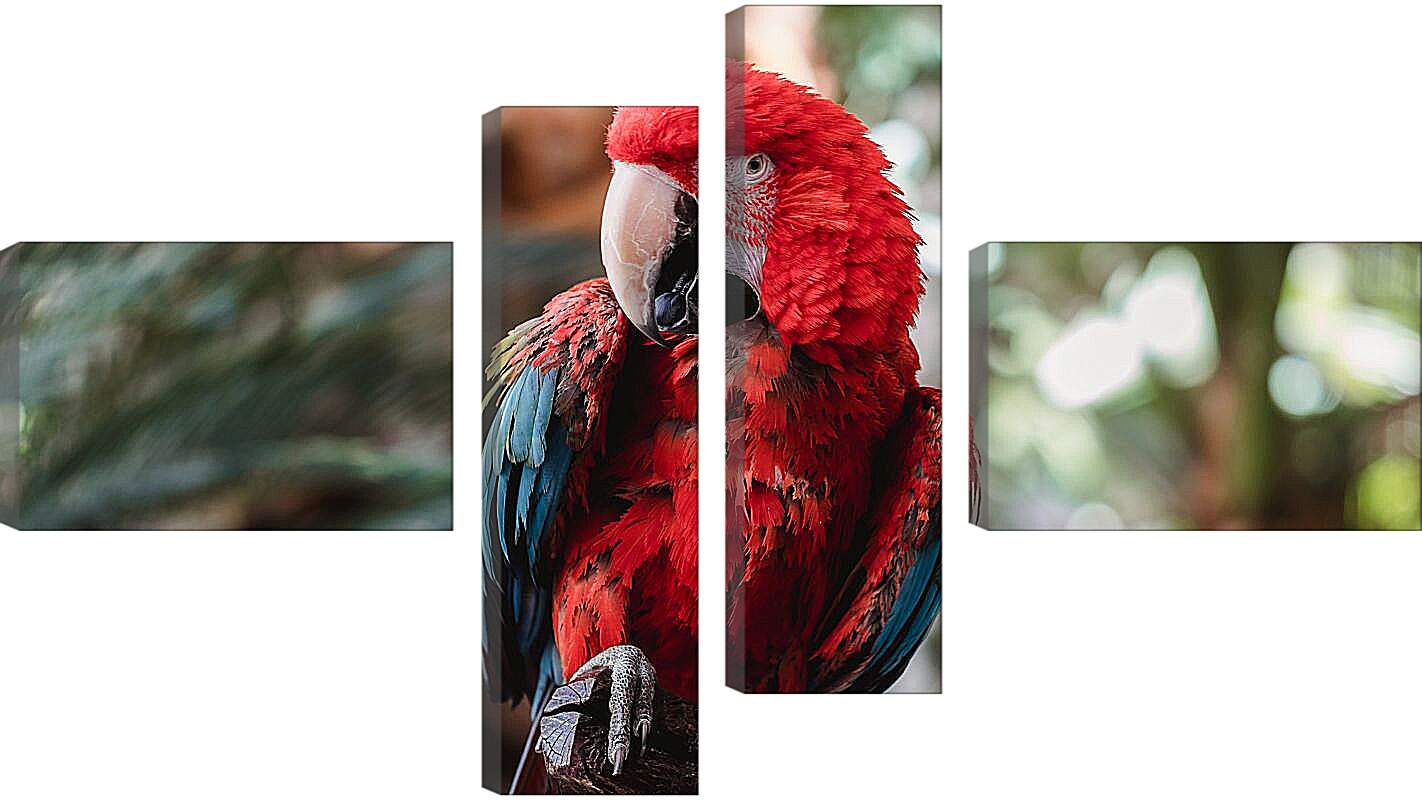 Модульная картина - Попугай тропический Ара