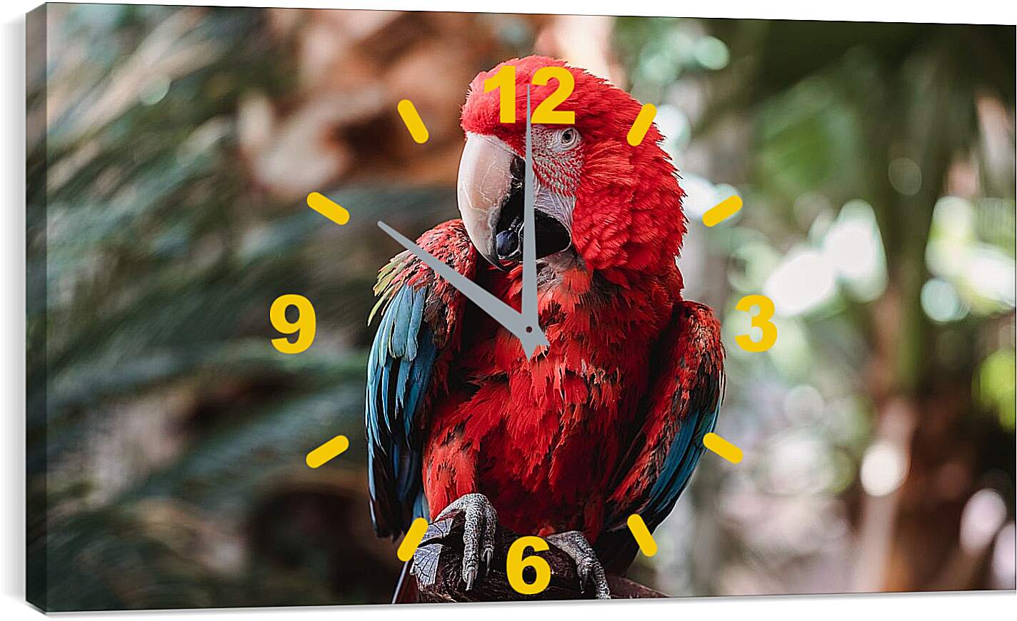 Часы картина - Попугай тропический Ара