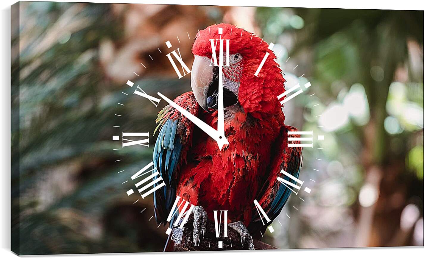 Часы картина - Попугай тропический Ара