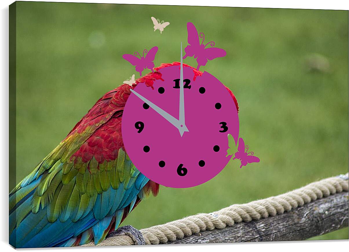 Часы картина - Ара тропический попугай