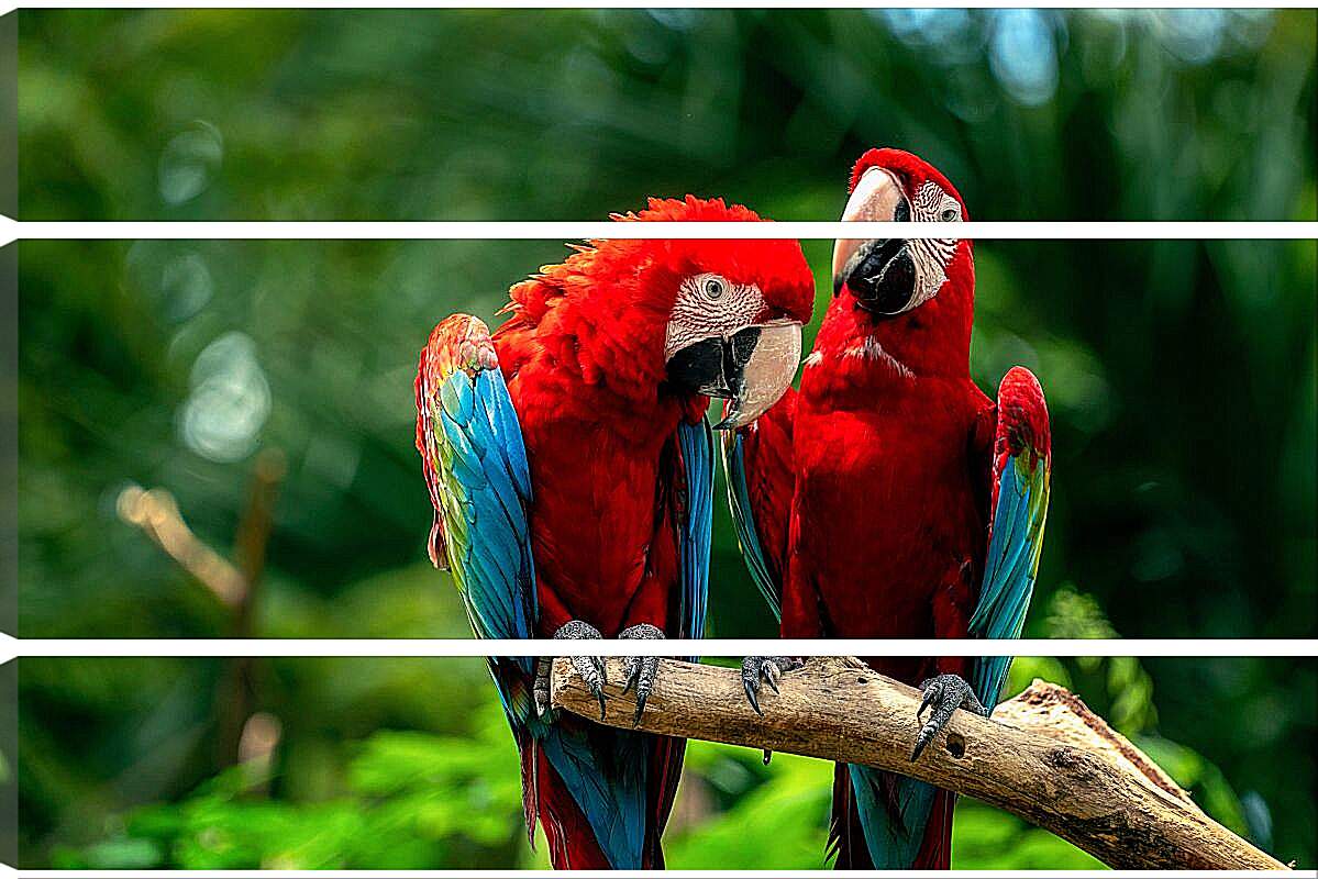 Модульная картина - Два тропических попугая
