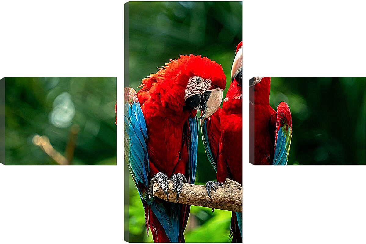 Модульная картина - Два тропических попугая