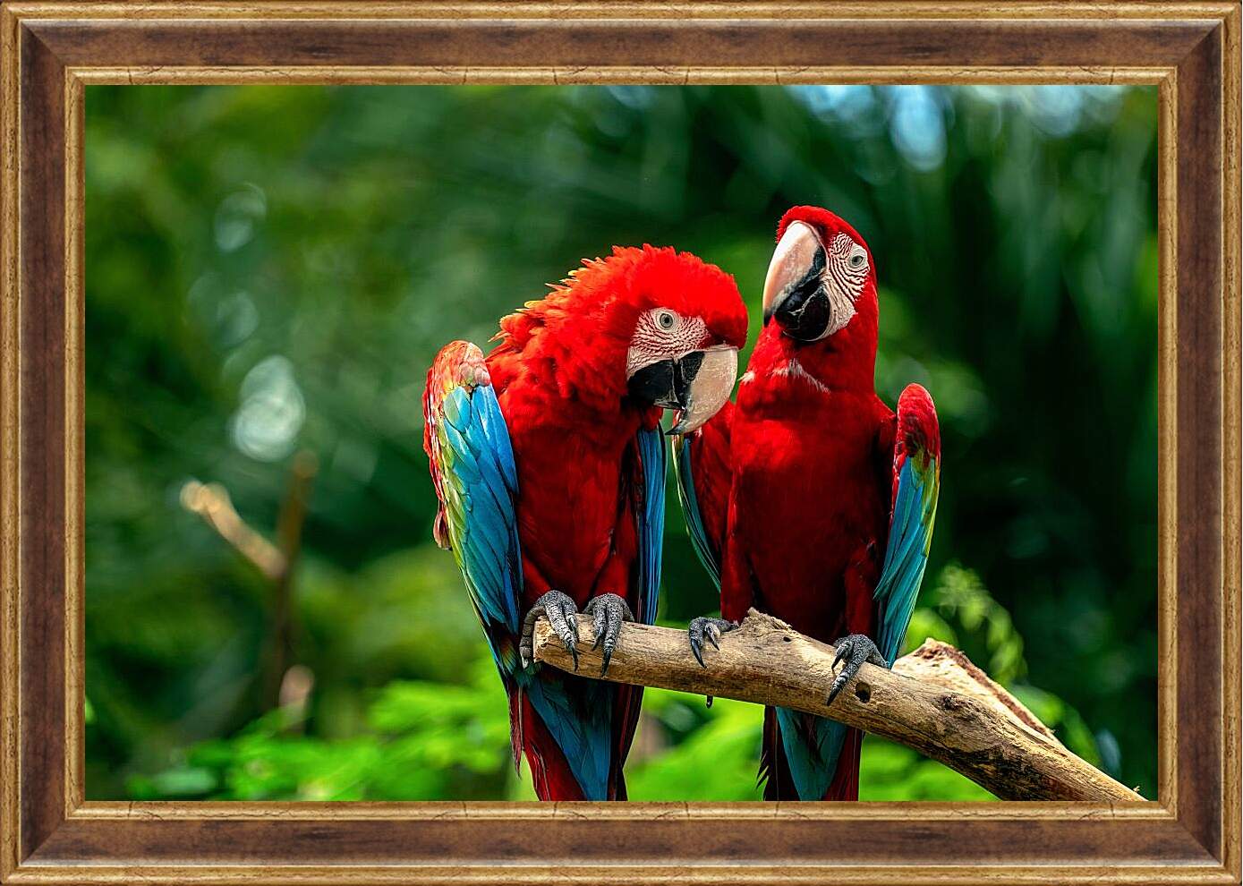 Картина в раме - Два тропических попугая