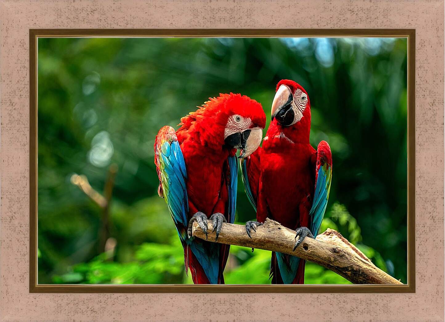 Картина в раме - Два тропических попугая