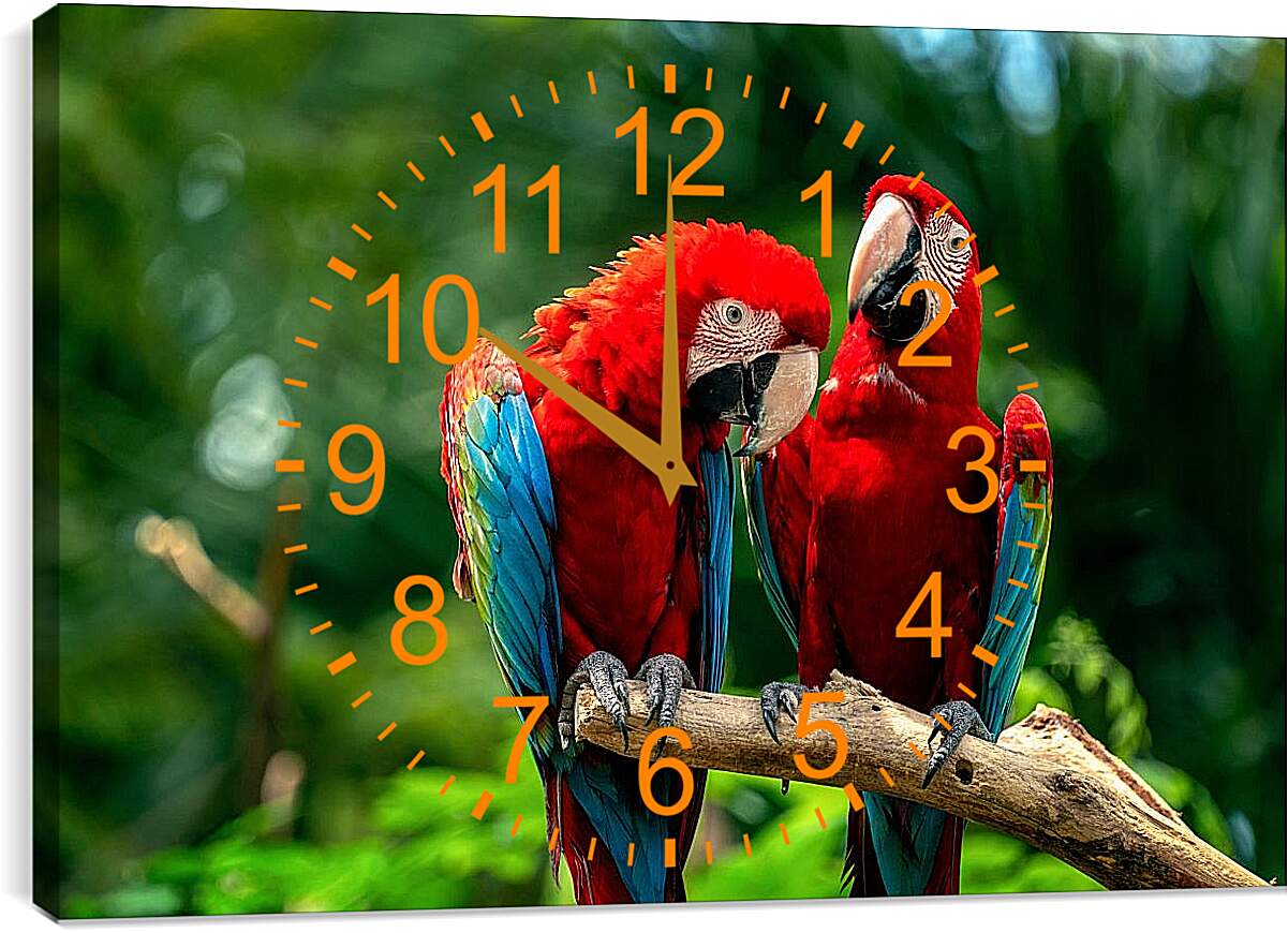 Часы картина - Два тропических попугая
