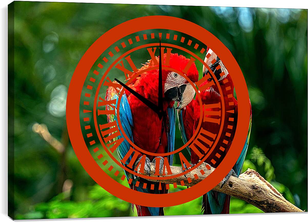 Часы картина - Два тропических попугая