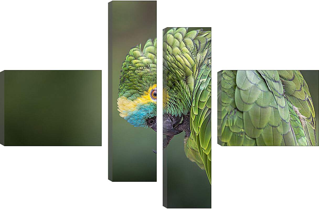 Модульная картина - Зелёный попугай чистит лаппку