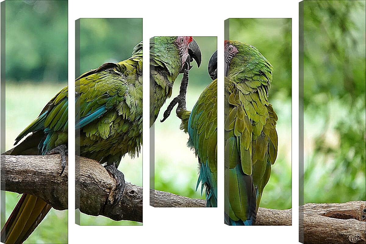 Модульная картина - Два зелёных попугайчика