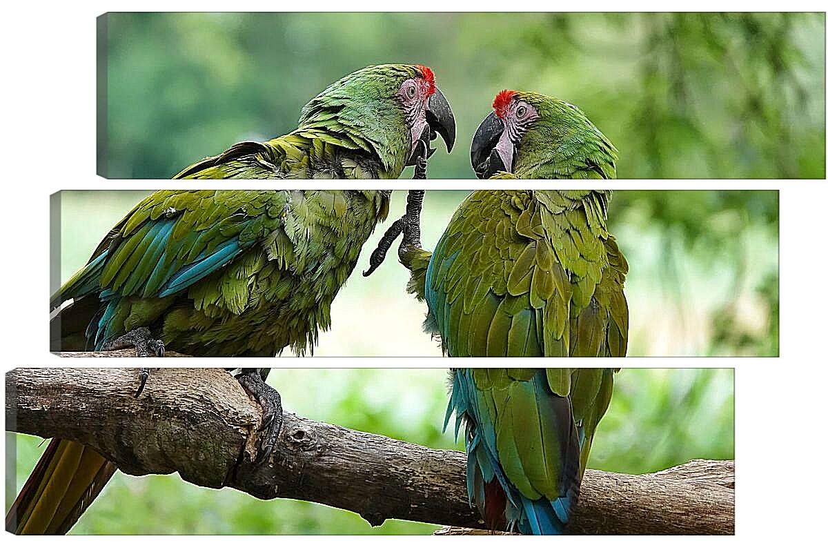 Модульная картина - Два зелёных попугайчика